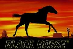 Automat Black Horse