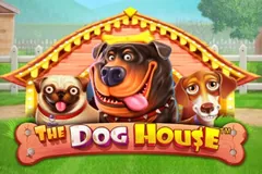 Automat The Dog House